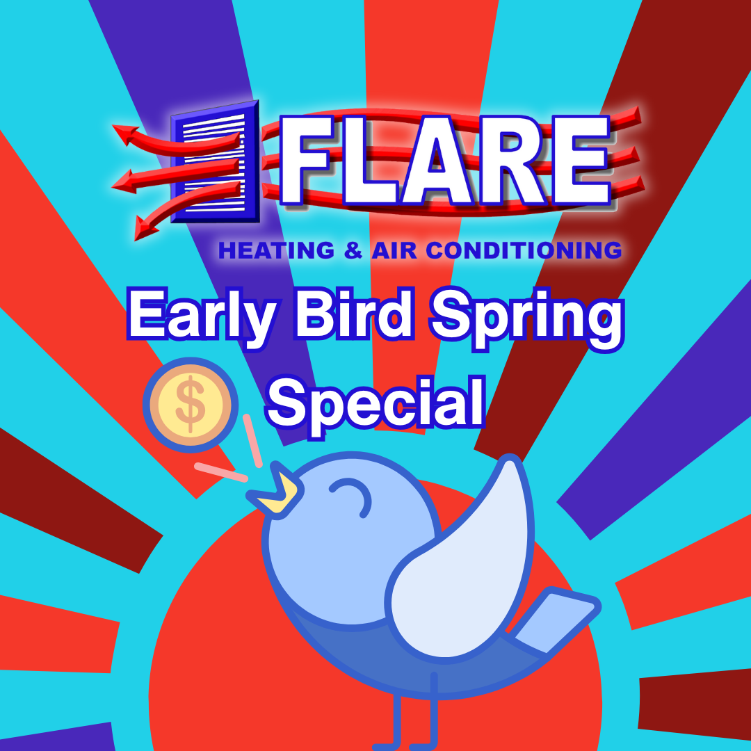 Flare Early Bird Spring Special with Bird chirping dollar sign
